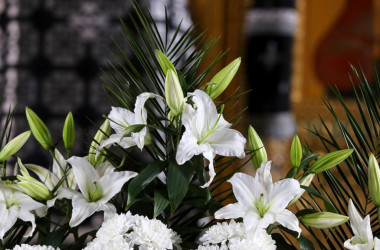 Фото: Благовещение Пресвятой Богородицы-2024: зачем украшать дома белыми лилиями?
