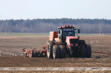 Фото: Ранние яровые зерновые в Беларуси посеяли почти на 94% площадей