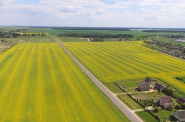 Фото: Июньская рапсодия