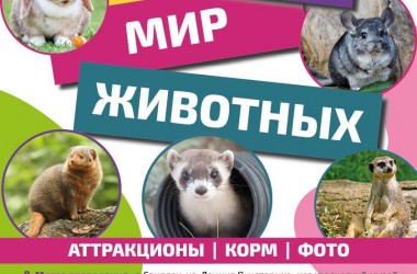 Фото: Выставка-зоопарк «Мир животных» с 31 марта по 16 апреля в Свислочи