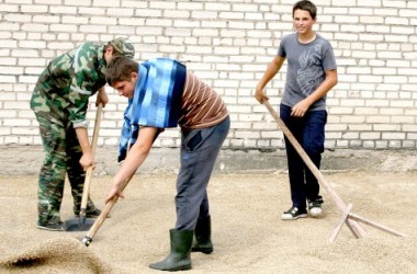 Фото: Зерно запомнит руки  «Новодворцев»