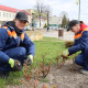 Фото: Цветущий наряд для города. Про «зеленые» планы на этот сезон рассказала мастер участка Светлана Гаврилик