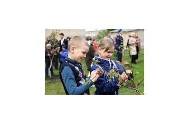 Фото: Сирень в память о победителях