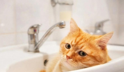 Фото: Завтра на некоторых улицах в Свислочи отключат холодное водоснабжение