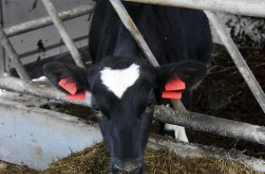 Фото: Устная договоренность не решит проблему