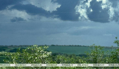 Фото: Дожди продлятся до конца недели? Когда в Беларуси снова будет хорошая погода, рассказали синоптики