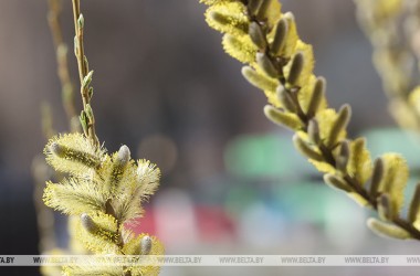Фото: Увесь тыдзень дажджы і пацяпленне да выхадных. Сіноптыкі расказалі, якім будзе надвор'е з 18 па 24 красавіка