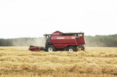 Фото: Доска почета на уборке урожая по состоянию на 08 августа 2019 года