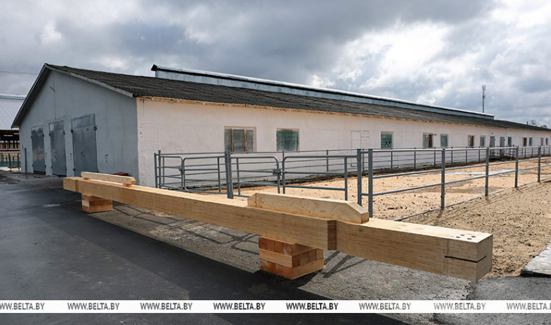 Фото: Александр Лукашенко совершает рабочую поездку в Петриковский район