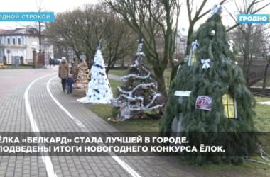 Фото: В Гродно выбрали лучшую елку города. Посмотрите, кто стал победителем