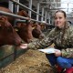 Фото: Обучай и закрепляй! Как работает кадровая стратегия в УСП «Новый Двор-Агро»?