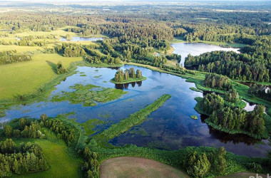 Фото: По зеленой тропе. В 2022 году особо охраняемые территории Беларуси посетили более 650 тысяч туристов