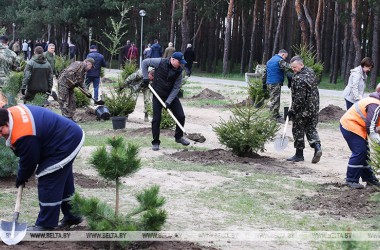 Фото: Белстат: более Br14 млн заработано на республиканском субботнике