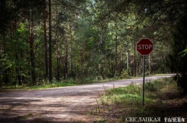 Фото: "We do not go to the forest without a reason". Life in Novy Dvor a year after Maxim Markhalyuk’s disappearance