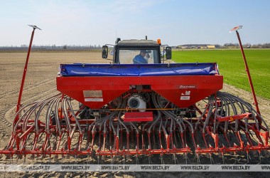 Фото: Flax planting campaign nearly over in Belarus