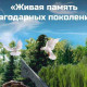 Фото: Идет всенародный сбор монет в сплав для памятника «Живая память благодарных поколений»
