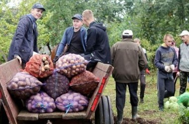 Фото: Агроклассы появятся в белорусских школах в новом учебном году