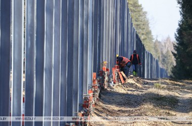 Фото: Польша уже построила 120 км стены в Беловежской пуще