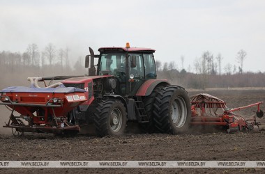 Фото: Spring planting in Belarus 72% complete