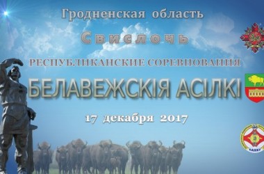Фото: Республиканские соревнования по шотокан каратэ-до "Белавежскія асілкі"