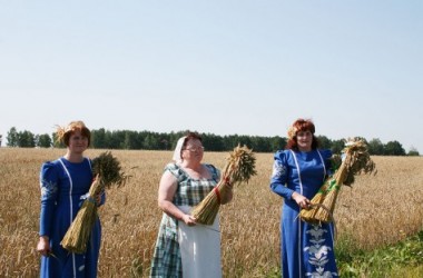 Фото: Зажинки. Хорошего урожая, хлеборобы!