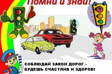 Фото: Соблюдаем законы дорог!