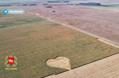 Фото: В Дятловском районе на кукурузном поле вырезали 100-метровое сердце
