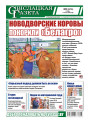 номер газеты в pdf