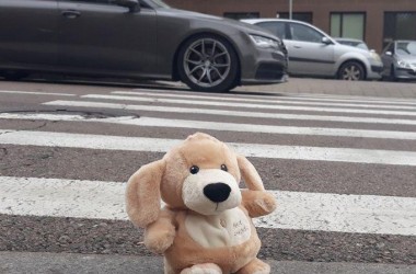 Фото: За 9 дней 13 детей с травмами: ГАИ призывает к внимательности