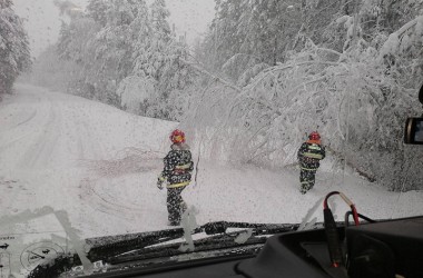 Фото: Последствия снегопада в Свислочском районе (+видео)