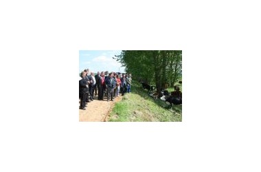 Фото: Основная тема дня — круглосуточная пастьба