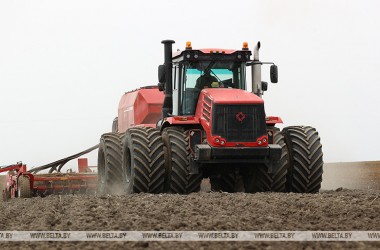 Фото: Spring planting complete in three Belarusian oblasts