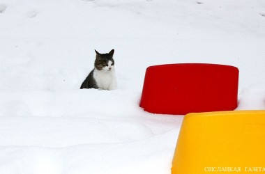 Фото:                                                  <br />
Парадоксы жизни:<br />
<br />
места есть, а сесть негде!<br />
<br />
Кто виноват? Зима.<br />
<br />
А что делать? Ждать весну.