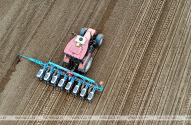 Фото: В Беларуси начали сев кукурузы