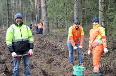 Фото: HS Belacon LLC employees took part in the Forest Week 