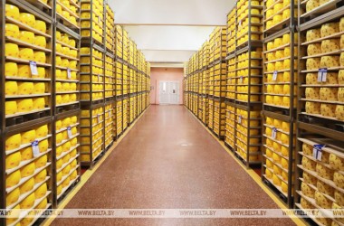 Фото: Minister: Belarus is not facing a food crisis