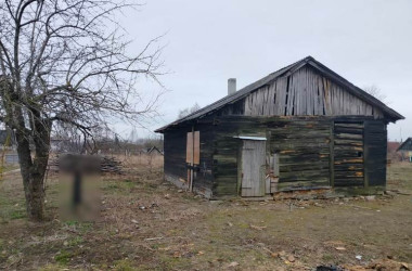 Фото: В Гродно местному жителю предъявлено обвинение за убийство собаки