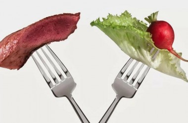 Фото: Вегетарианство vs мясоедство. Спорный вопрос