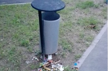 Фото: Нет мусорки – плохо! Есть – еще хуже?<br />
<br />
Зачем пакостить там, где живем?