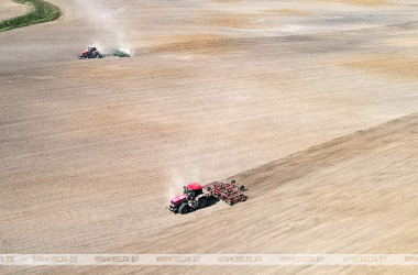 Фото: В двух областях Беларуси завершили сев озимых зерновых