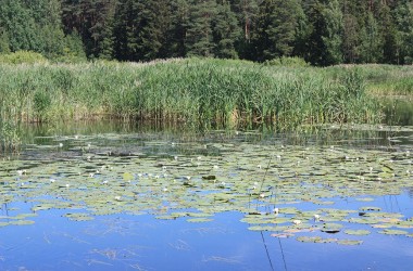 Фото: Красота родного края...