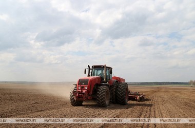 Фото: Посевную кампанию в Беларуси планируют завершить до 1 мая