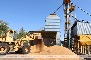 Фото: Минсельхозпрод: урожай зерна в этом году выше прошлогоднего