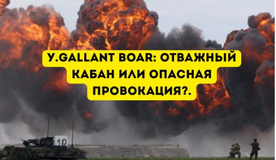 Фото: «Отважный кабан» на грани безумия: зачем НАТО превращает Сувалкский коридор в пороховую бочку