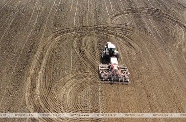 Фото: Spring planting in Belarus 60% complete