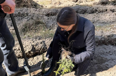 Фото: Прокуратура района приняла участие в посадке леса