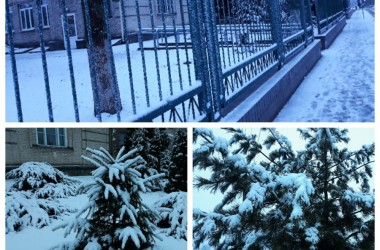 Фото: Зима вернулась