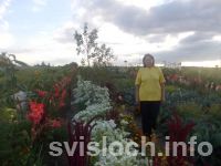 Фото: От лесных елочек – до арбузов и дынь...