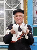 Фото: Любовь и голуби