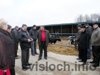 Фото: Богатырская порция солнца и воздуха, или Чего не хватает хилимоновским коровам?